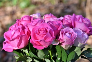 Wszystkiego najlepszego  z okazji Dnia Kobiet