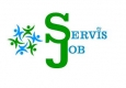 ServisJob