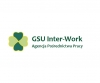 gsuinterwork